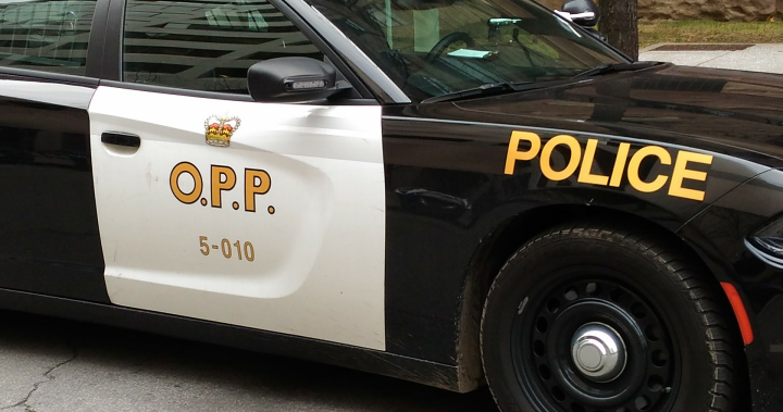 Motorcyclists seriously injured in two separate collisions on QEW: OPP – Hamilton