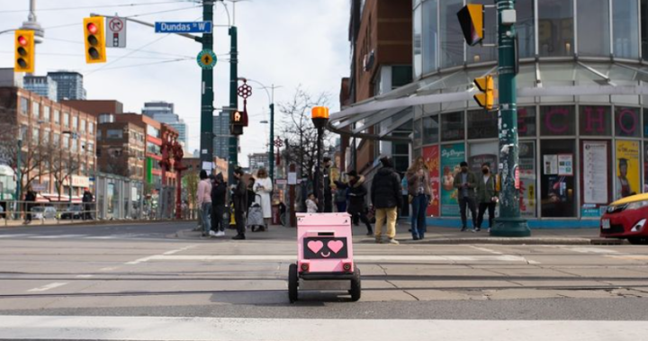 Food delivery robots have hit Canadian sidewalks — but there are roadblocks