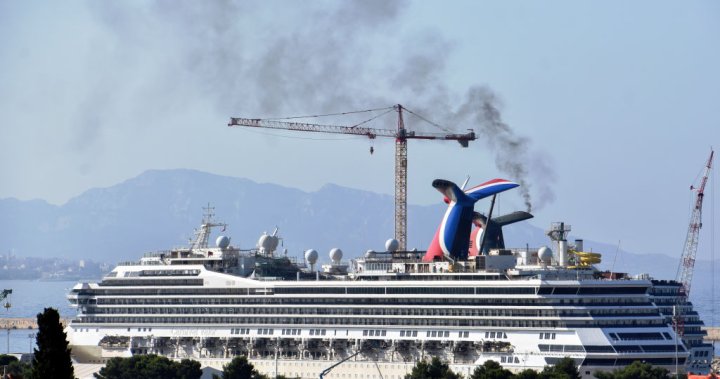 Passenger who fell from cruise ship treaded water for 20 hours to survive – National