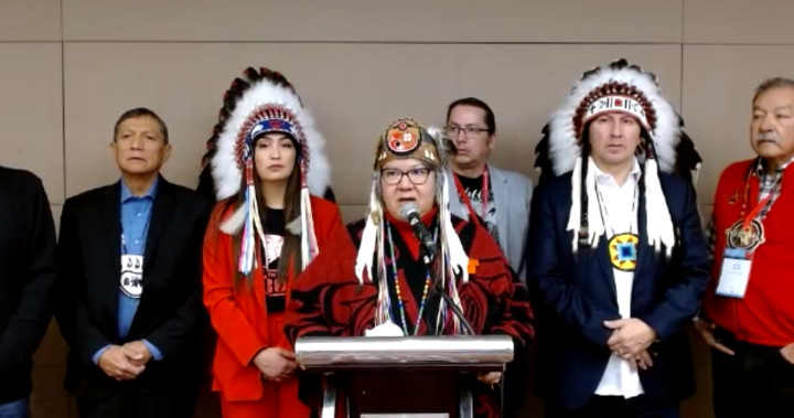 Treaty Chiefs demand sovereignty bills be withdrawn by Alta., Sask. governments