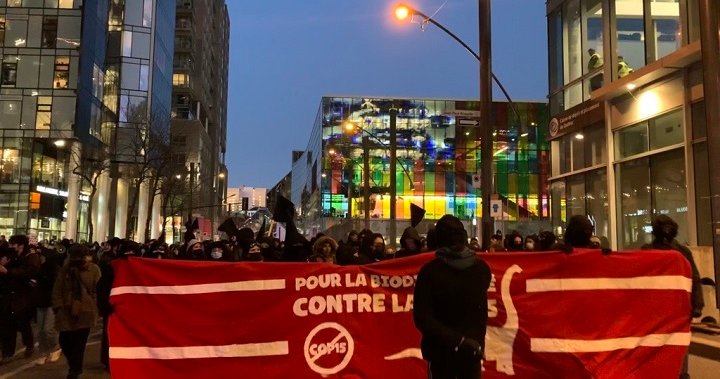 COP15: Latest demonstration sees hundreds gather in Montreal city square