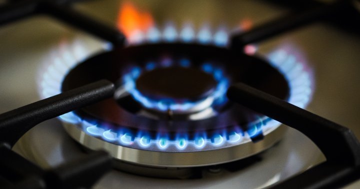 U.S. nixes gas stove ban despite studies showing health risks, dangers – National