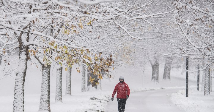 Winter storm warning issued in southern Quebec, 25 cm of snow possible in Montreal