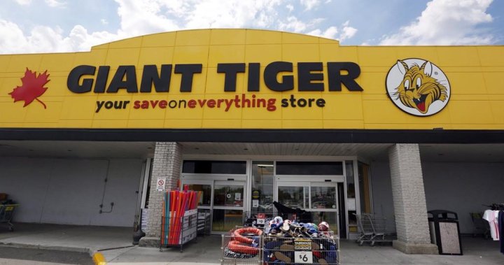 Thousands of Giant Tiger clothing items recalled due to ‘presence of mold’ – National