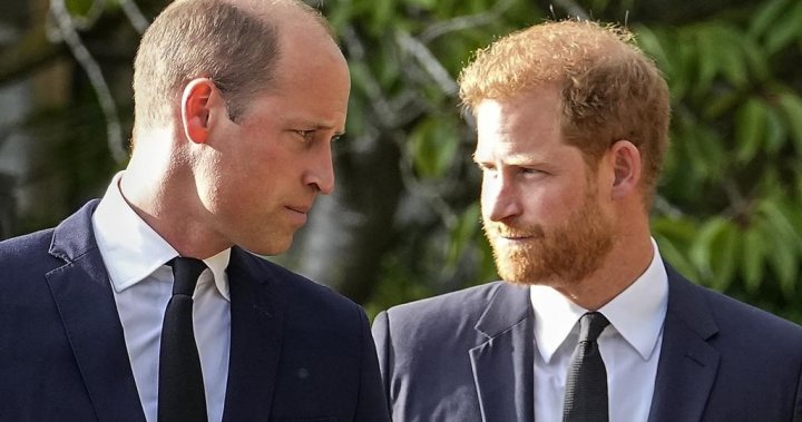 Prince William’s popularity drops in U.K. as Harry becomes favourite royal in U.S. – National