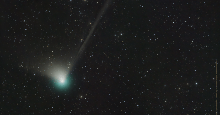A rare green comet not seen in 50,000 years is coming. Here’s how Canadians can see it – National