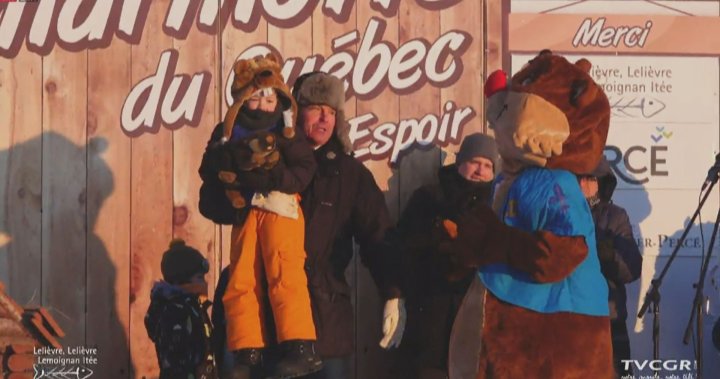 Quebec’s Fred la Marmotte dies before Groundhog Day prediction: ‘He had no vital signs’