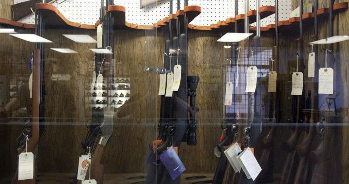 Liberals ditch gun law reform critics said would ban hunting rifles – National