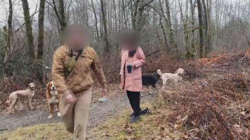 North Vancouver dog walker captures attack on video