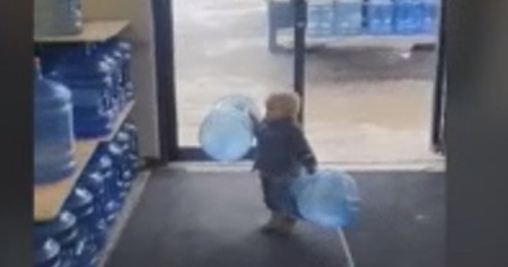 Tiny B.C. toddler becomes viral TikTok sensation working in his parents’ store