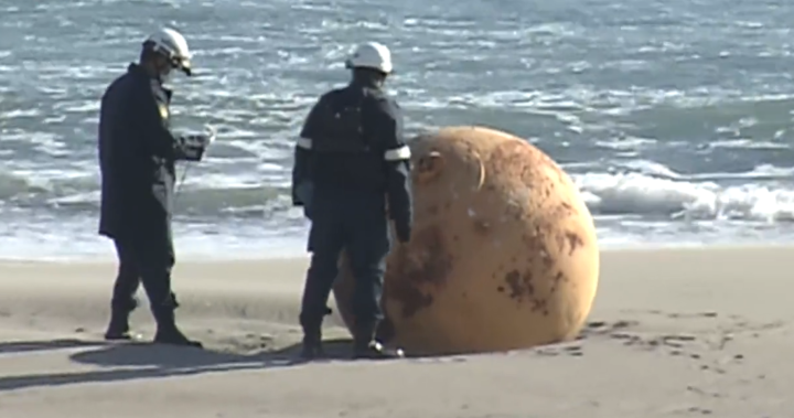Mysterious sphere washes up on Japanese beach, triggering speculation – National