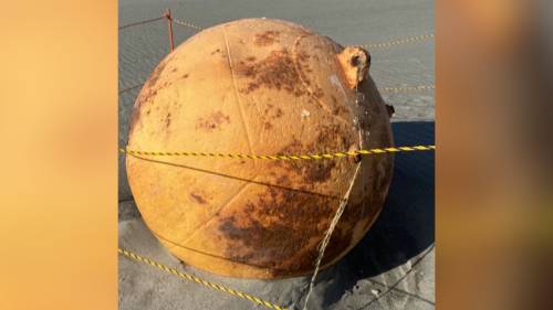 Mysterious sphere washes up on Japanese beach, triggering speculation on social media