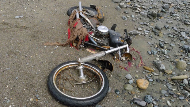 Japanese Harley washes up on B.C. beach