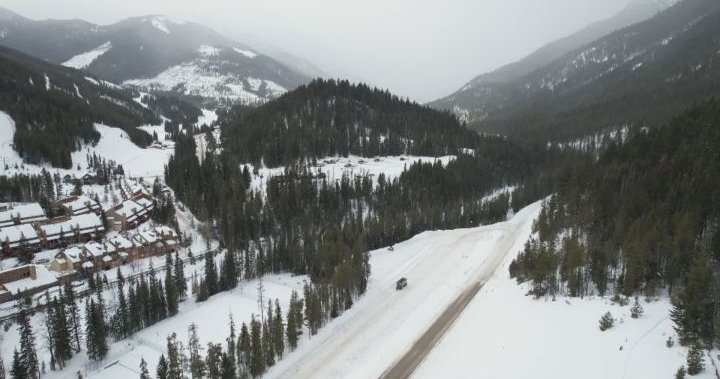 3 German tourists dead after avalanche near Invermere, B.C.: mayor of German municipality