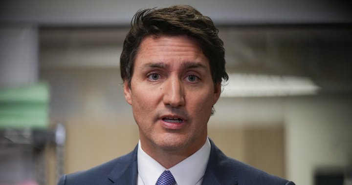 Chinese Canadian parliamentarians among ‘greater targets’ for interference: Trudeau – National