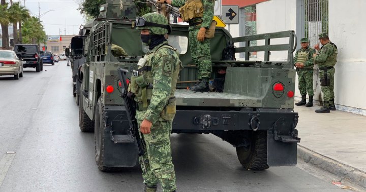 2 Americans kidnapped in Mexico found dead, other 2 alive – National
