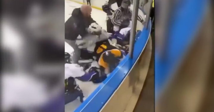 Edmonton hockey handshake brawl a ‘travesty to the game’: Officials