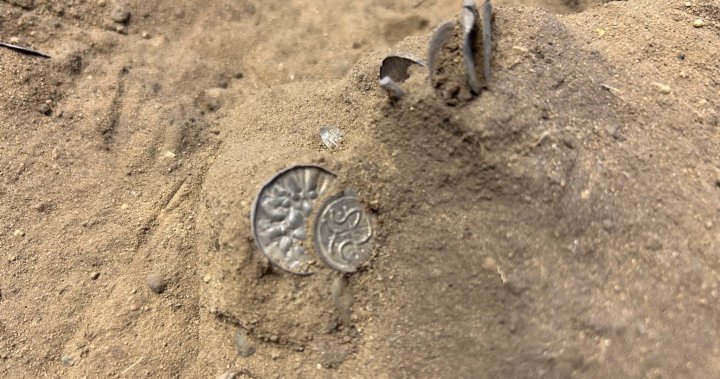 Trove of 1,000-year-old Viking coins unearthed by young girl in Denmark – National