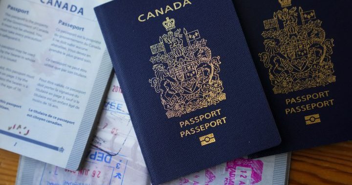 Need a passport? Don’t apply during PSAC strike, minister urges – National