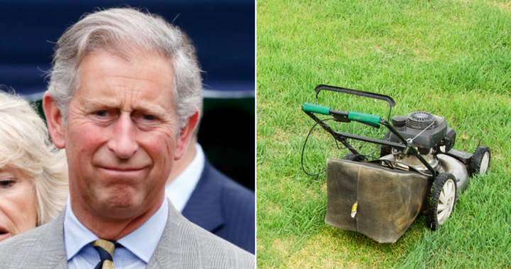 Huge phallus likeness mowed into lawn at King Charles’ coronation event site – National