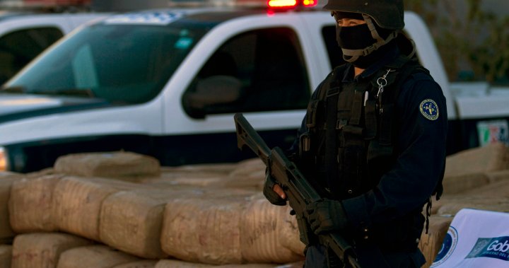 10 dead after gunmen open fire at car rally in Baja California – National