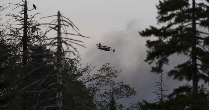 Nova Scotia wildfires: Ottawa ready to assist amid ‘extremely challenging’ season 