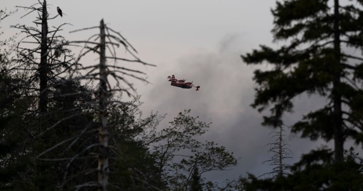 150 homes destroyed in devastating Halifax wildfire: ‘A very tough time for the community’