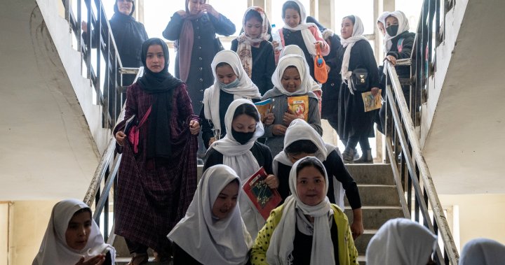 Nearly 80 school girls poisoned and hospitalized in Afghanistan – National