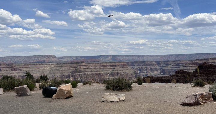 33-year-old man falls to his death off of Grand Canyon Skywalk – National