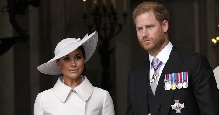 ‘F–king grifters’: Spotify exec calls out Prince Harry and Meghan Markle – National