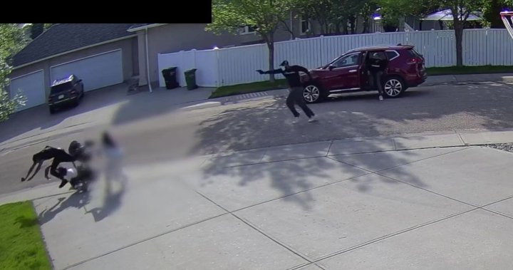 Video shows man walking with young family targeted by ‘reckless’ shooters in Edmonton