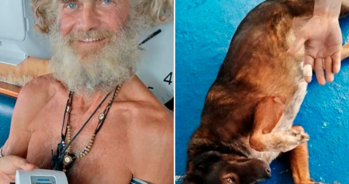 Sailor Tim Shaddock leaves dog Bella behind in Mexico after surviving months at sea – National