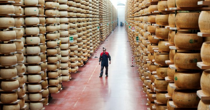 Italian man crushed to death by thousands of cheese wheels – National