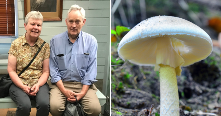 Woman denies poisoning family with death cap mushrooms after 3 die – National