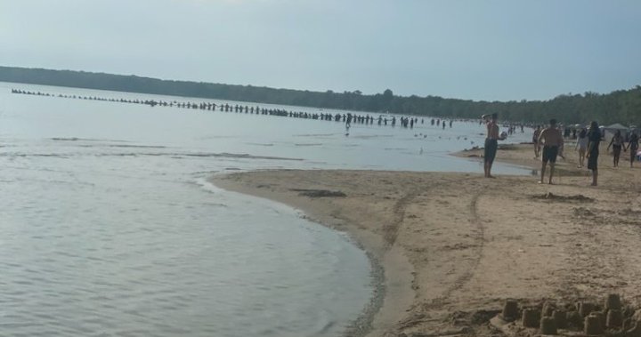 Dozens of bystanders form line to find missing child at Ontario beach