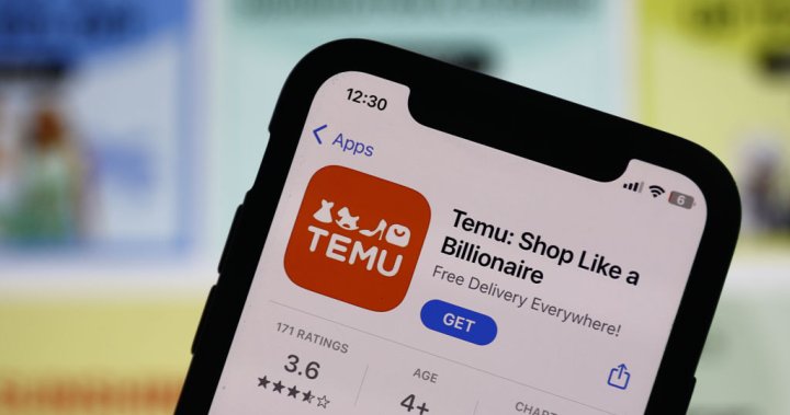 What is Temu, the app that asks users to ‘shop like a billionaire’? – National