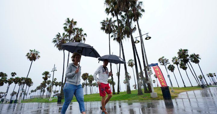 Hurricane Franklin gaining strength, Idalia expected to hit Florida as hurricane – National