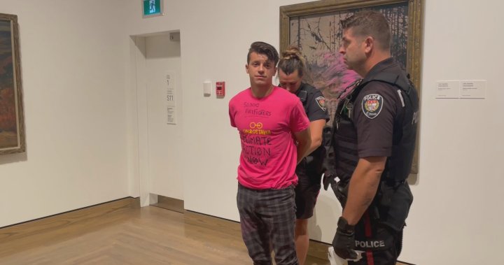 Climate protester throws paint on Tom Thomson art at Canadian gallery – National