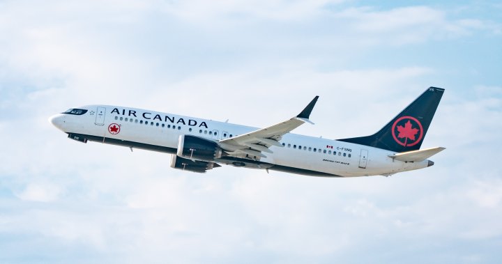 Air Canada customers kicked off plane for refusing vomit-covered seat