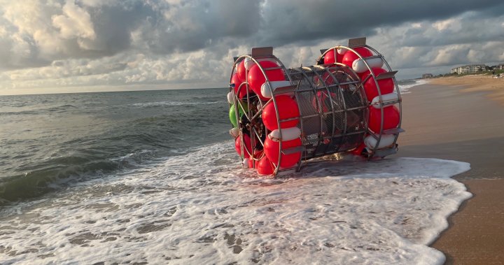 Florida man arrested for trying to cross Atlantic in giant hamster wheel – National