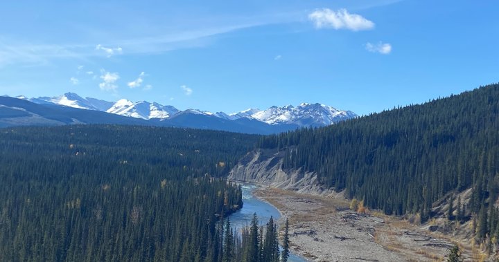 2 people killed by bear in Banff National Park were experienced in outdoors: family friend