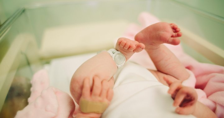 Canada just had its lowest number of births in 17 years. What’s behind it? – National