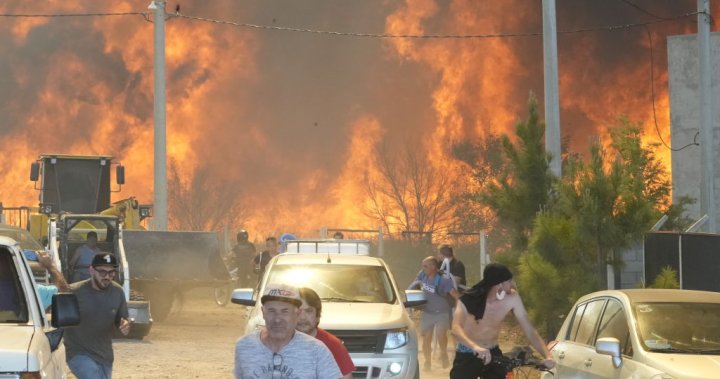 Argentina wildfire, started by camper making coffee, forces hundreds to flee – National