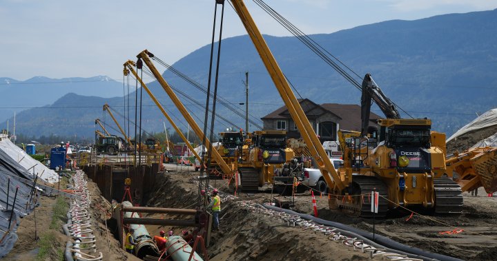 Trans Mountain pipeline work blocked in B.C. over environmental non-compliance