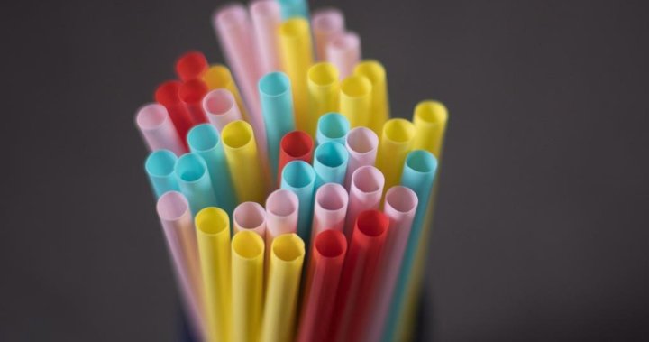 The Federal Court just overturned Ottawa’s single-use plastic ban – National