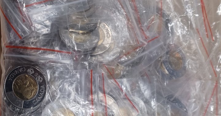 Dodgy Toonies from Quanzhou: How CBSA says it nabbed man with 26,630 fake $2 coins from China