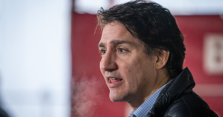 COVID-19 leaves lessons to learn, Trudeau says amid rapid test controversy – National