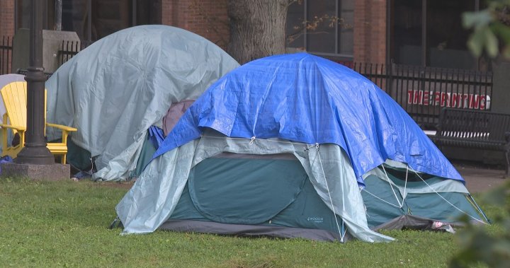 The need for safety and ‘survival’ for those living in Halifax tent encampments