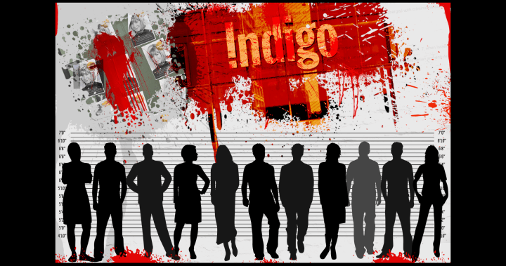 The ‘Indigo 11’: Group of ‘hate-motivated’ vandals or unconnected activists?