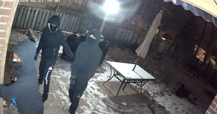 ‘Screaming and yelling’: Ontario family woken up by armed men in break-in attempt